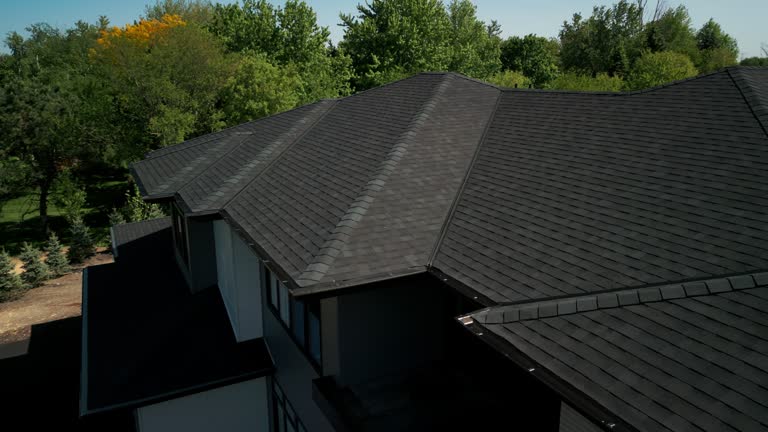 Best Roof Ventilation Installation  in Forest, OH