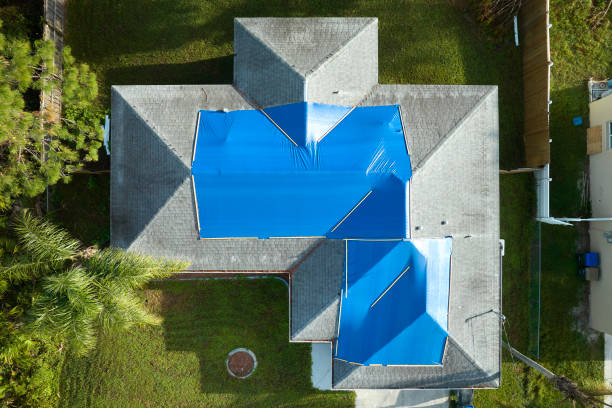 Best Roof Installation  in Forest, OH