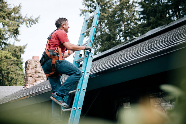Professional Roofing Service in Forest, OH