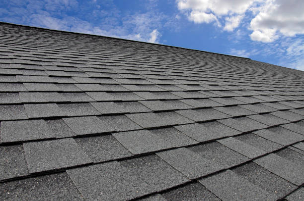 Best Roof Leak Repair  in Forest, OH
